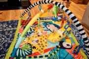 Fisher price play mat