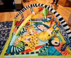 Fisher price play mat