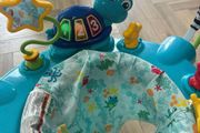 Fisher Price Baby Einstein Junper