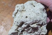 marine rocks