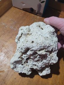 marine rocks
