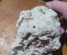 marine rocks