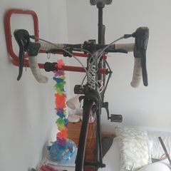 GIANT LIV AVAIL Compact Road Bike Shimano Sora