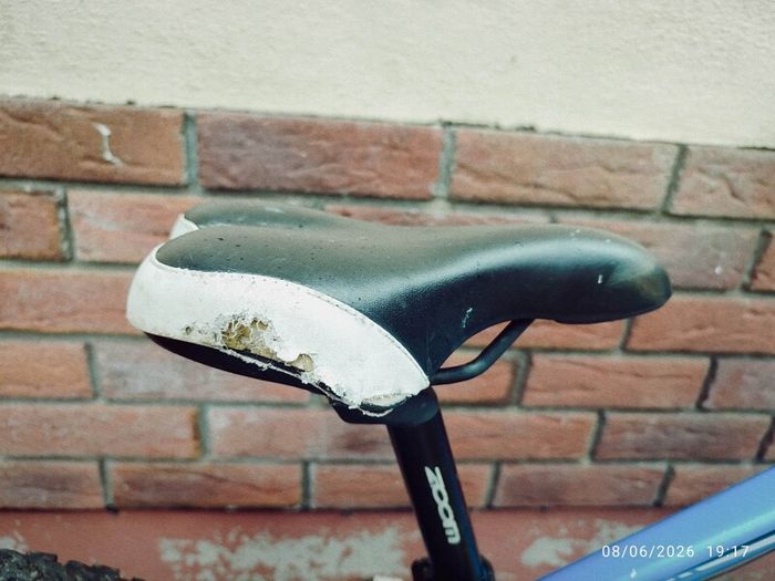 Procycle Maverick 20" Kids Bike  Project, For Parts