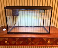 Fish Tank