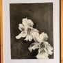 Original Charcol Floral Drawing Image 3