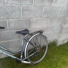 womens bike