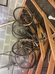 vintage high nelly bikes