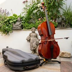 Beautiful Roderich Paesold model 601 3/4 Cello made in Germany in 1978