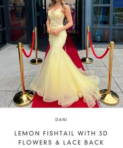 Debs dress Dani Closet