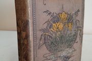 Goldsmith's Choice Works: Containing his Vicar of Wakefield, Poems and Plays by Oliver Goldsmith (HQ46)
