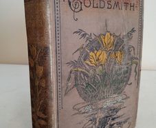 Goldsmith's Choice Works: Containing his Vicar of Wakefield, Poems and Plays by Oliver Goldsmith (HQ46)