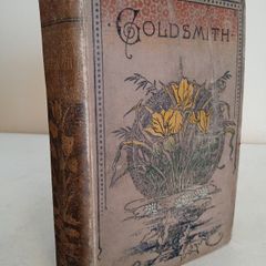 Goldsmith's Choice Works: Containing his Vicar of Wakefield, Poems and Plays by Oliver Goldsmith (HQ46)