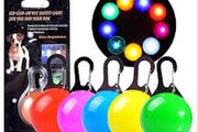 Clip-On LED Collar Light