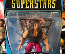 Jakks WWF BCA Rare wrestling figures Diesel Bret Hart