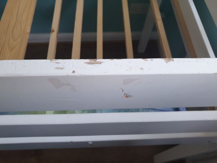 Kids Bed