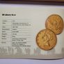 USA Coin of the Wild West, including a 5 dollar gold coin Image 2