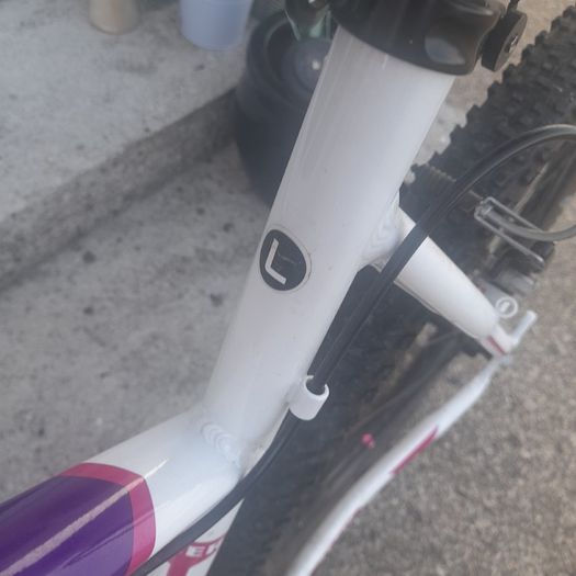 Adult bicycle