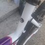 Adult bicycle Image 5