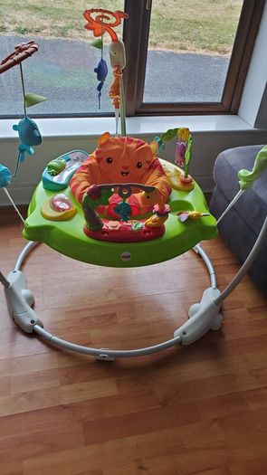 Fisher-Price Roarin' Rainforest Jumperoo