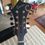 Coostar F5 Mandolin Image 2