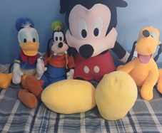 disney teddys