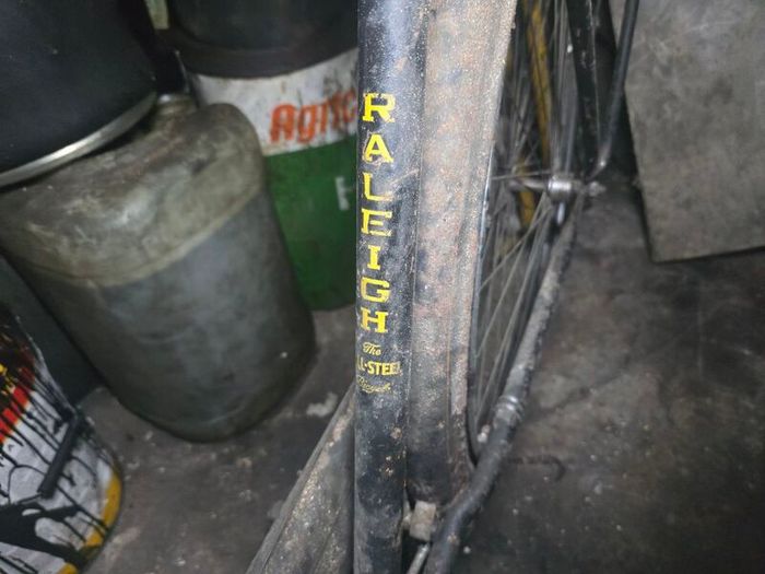 Raleigh Push Bike For Sale in Dublin 4, Dublin from kyle1309