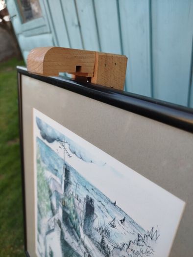 Framed Print