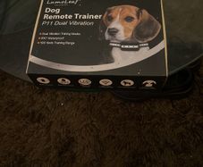 Dog remote trainer p11 dual vibration