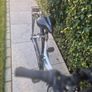 Ladies Apollo ELYSE Bicycle Image 4