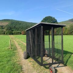 Handmade wooden dog/hen run
