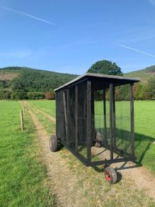 Handmade wooden dog/hen run