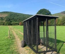 Handmade wooden dog/hen run
