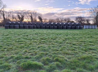 Silage bales