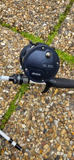 bitecasting rod
