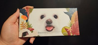 Perfect Diary Palette
