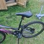 2 like new mountain bikes 150 for males bike 100 for smaller bike Image 3