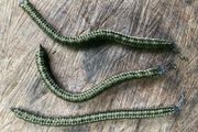 Sets of 3 x 20 grams wriggle weights for salmon trout and salmon fishing