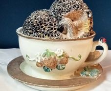 Hedgehog in a Cup Collectible Ornament