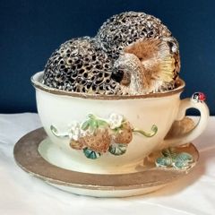 Hedgehog in a Cup Collectible Ornament