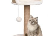 Cat Tree with Scratching Post 49 cm Seagrass