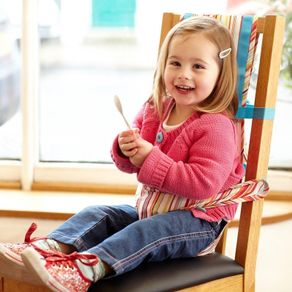 The Gro Company Chair Harness Jazz Stripe