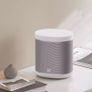 Xiaomi Mi Smart Speaker  Google Assistant Voice Control AI Smart Home Device | Bluetooth 4.2 WiFi Automation DTS Image 4
