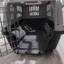 cat dog carrier transport Image 5
