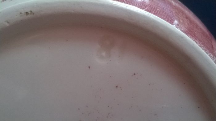 Vintage MASON'S Patent Ironstone China 50 oz Pitcher with Rope Edge in the Red & White VISTA Pattern