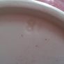 Vintage MASON'S Patent Ironstone China 50 oz Pitcher with Rope Edge in the Red & White VISTA Pattern Image 6