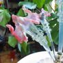 Antique Victorian Glass Epergne - An Incredibly Rare Find Image 8