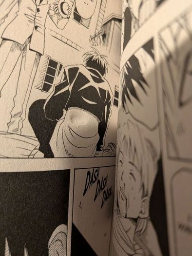 Black Cat manga 1-20