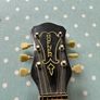 1959 Hofner Senator Vintage Electric Archtop Image 2