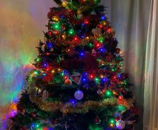 christmas tree pine 7 ft with stand and accessories